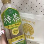 🐱きょんきょん出勤です🐱