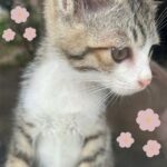 ゆいな出勤です！